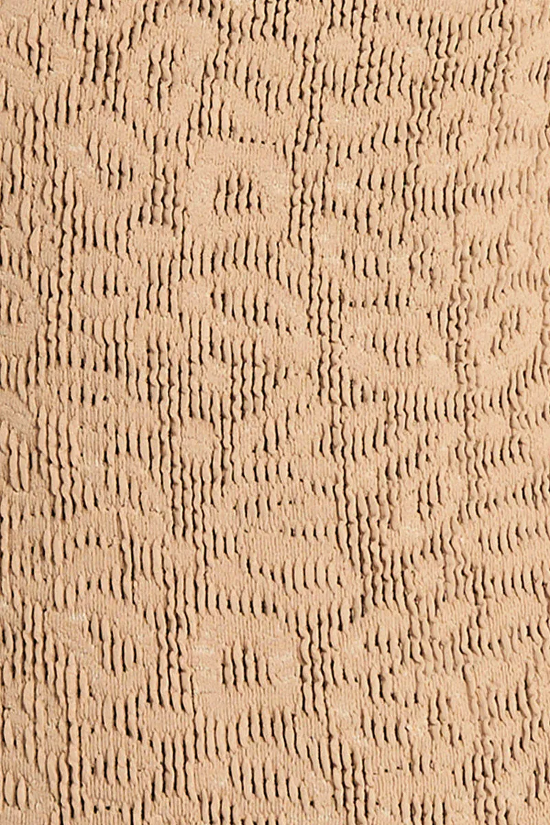 Anisha Brief