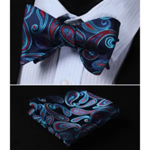 Blue Red Paisley Mens Silk Self tie Bow Tie with Pocket Squares Set