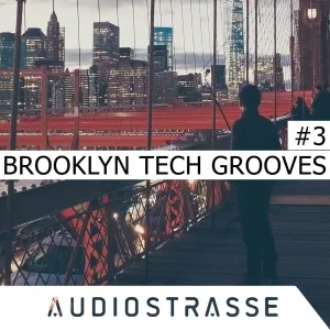 Brooklyn Tech Grooves #3 (Bass - Drum - Percussion - Synth - Vocal - FX - One shots)