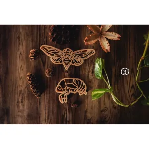 Cicada Eco Cutter Set