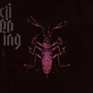 Clipping "Dead Channel Sky" 2xLP