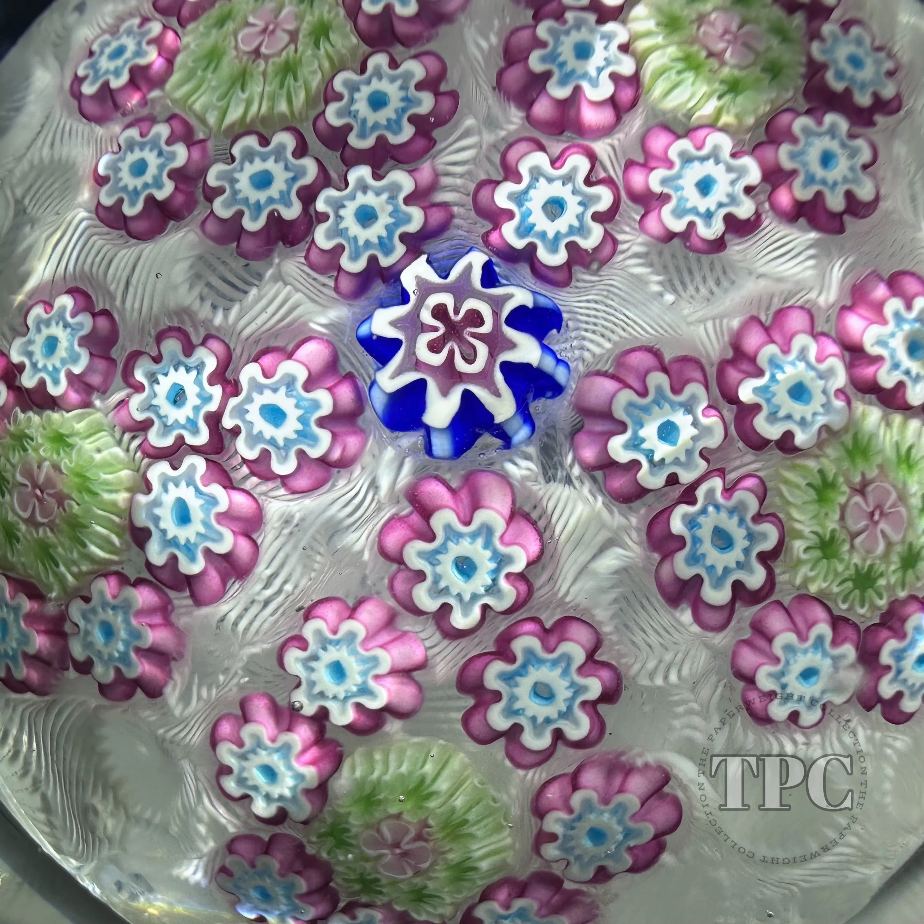 Damon MacNaught 2024 Faceted Glass Art Paperweight Patterned Millefiori on Upset White Muslin Lace Ground