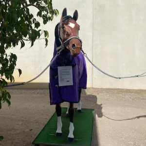 Deluxe Heavy Duty Stall Tie