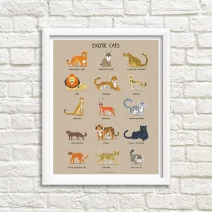EXOTIC/WILD CATS print