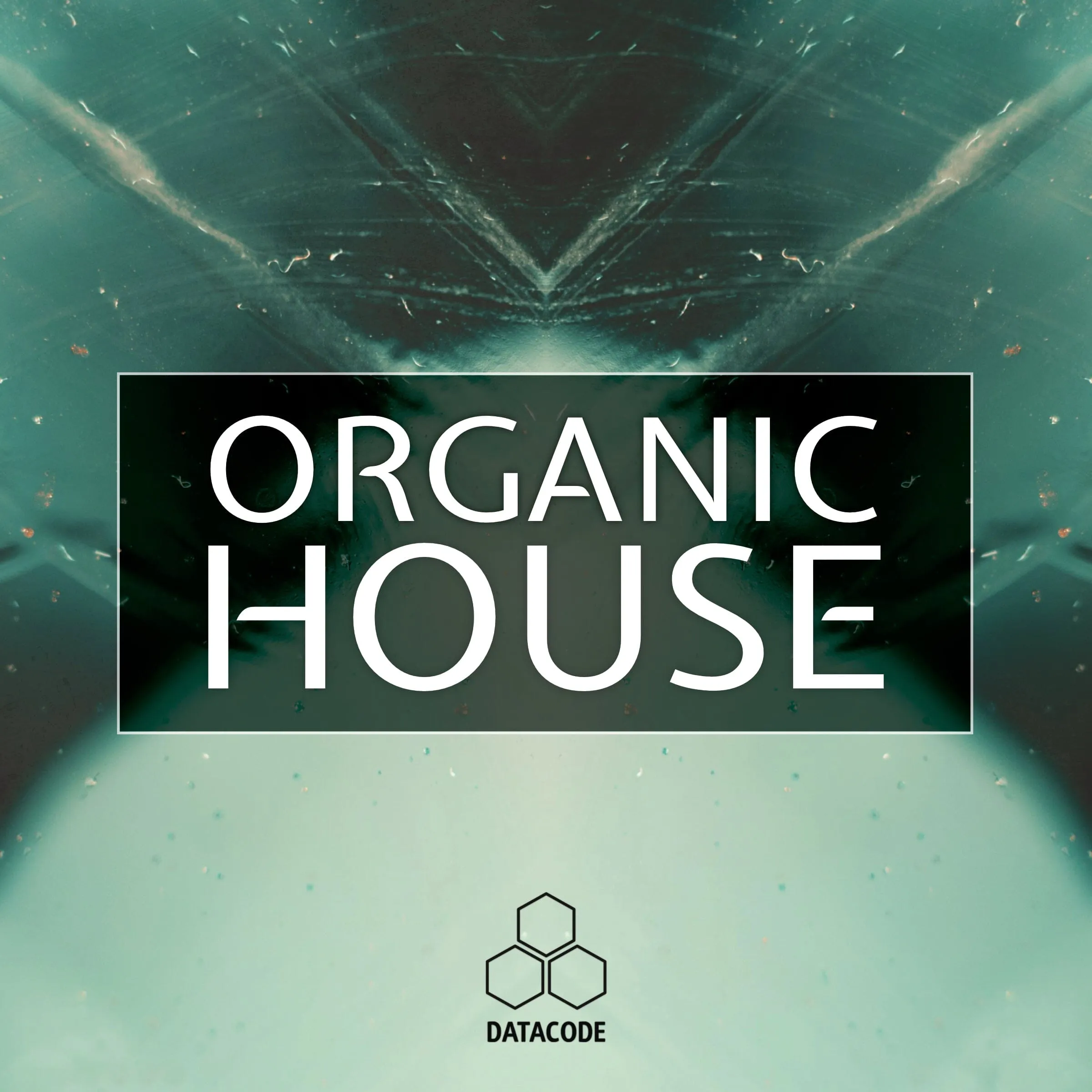 FOCUS: Organic House (Loops, Construction kit, 24 Bit WAV MIDI)