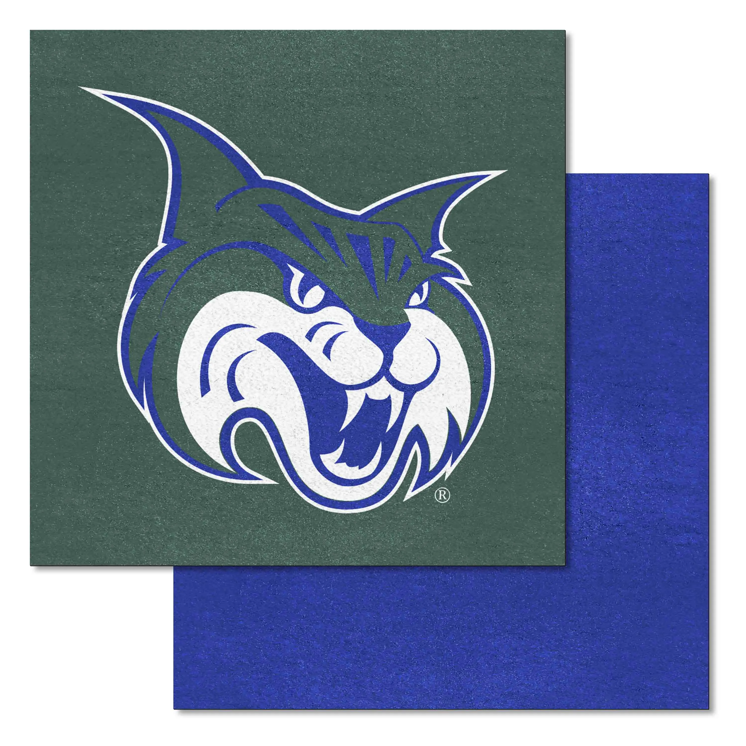 Georgia College & State Univ Team Carpet Tiles