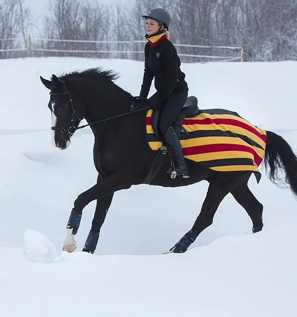 Horseware Rambo Fleece Quarter Competition Sheet - SALE