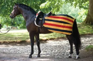 Horseware Rambo Fleece Quarter Competition Sheet - SALE