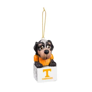 Mascot Ornament,  Tennessee,3ot955mas
