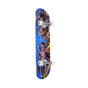 Mini Logo 'Fish Tank' 8" Complete Skateboard