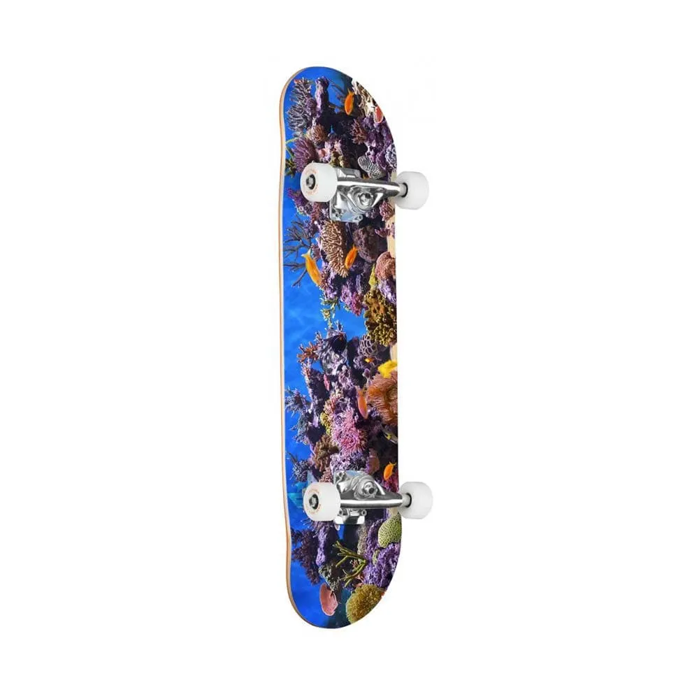 Mini Logo 'Fish Tank' 8" Complete Skateboard