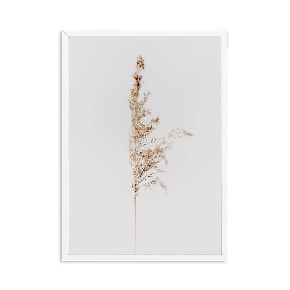 Moroccan Scenic Views Wall Poster Print