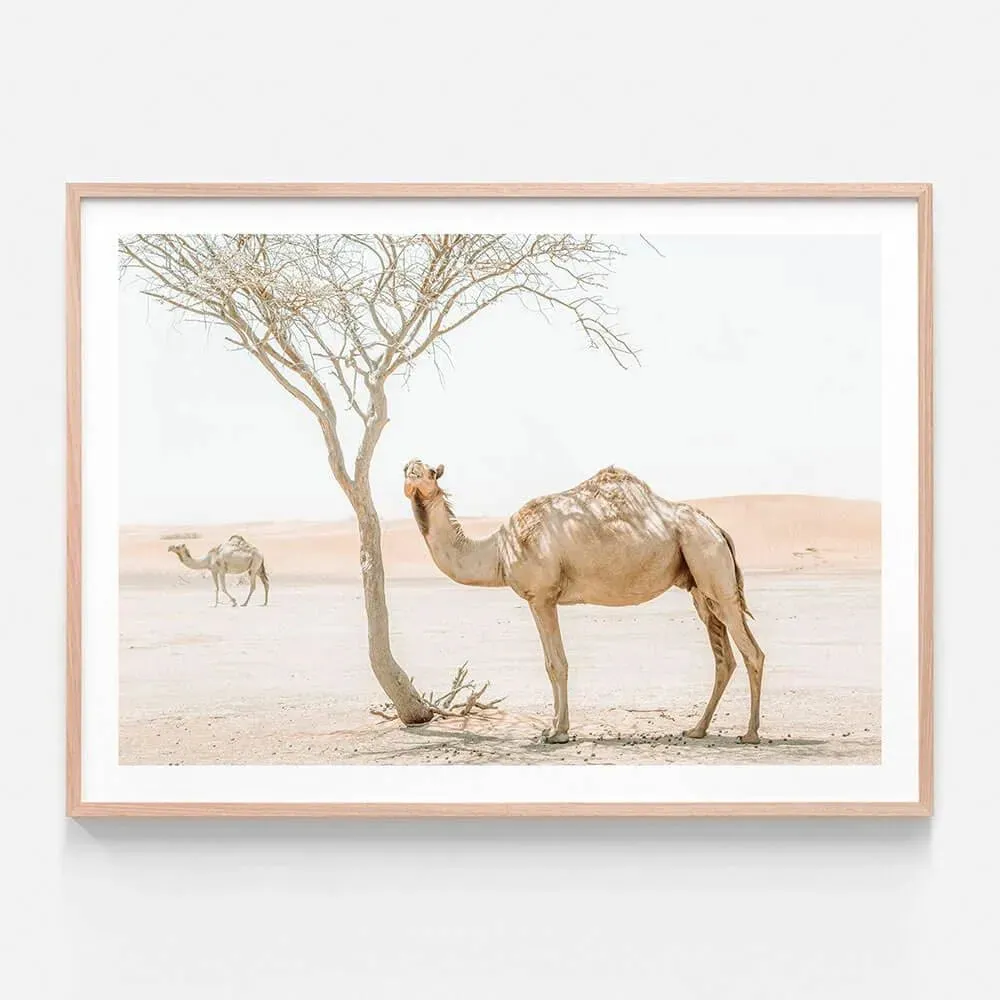 Moroccan Scenic Views Wall Poster Print