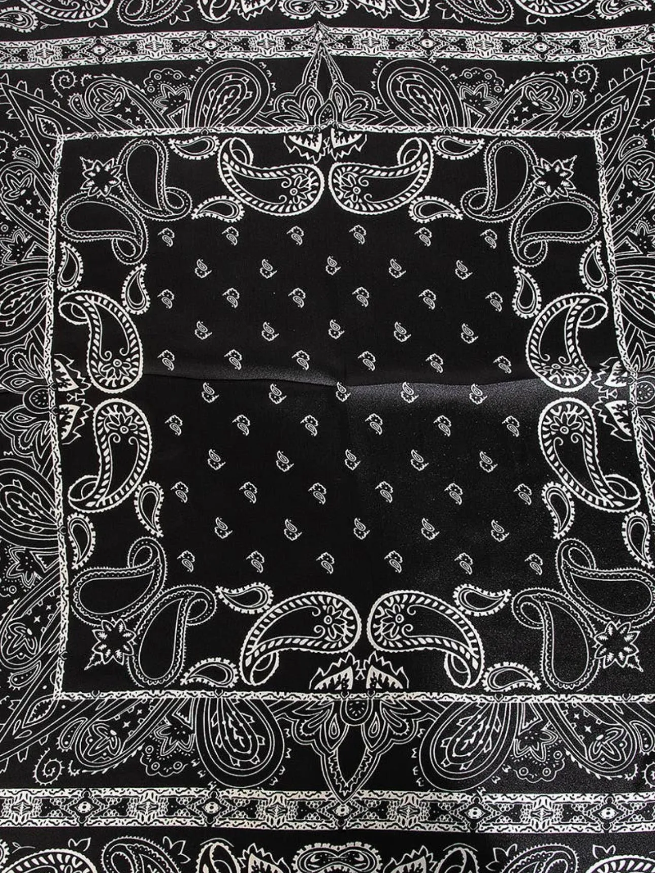 Paisley Scarf: Black