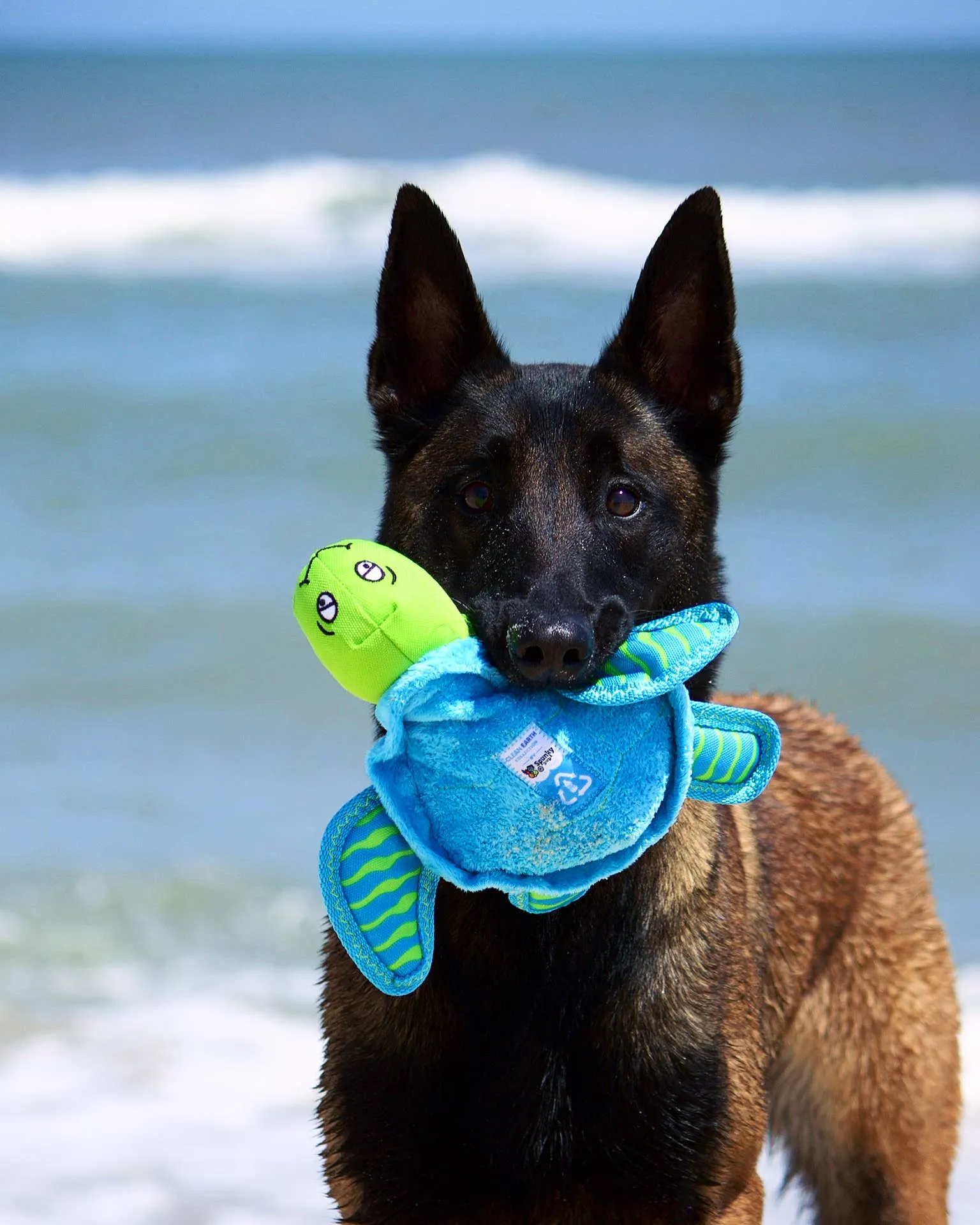 Spunky Pup - Clean Earth Recycled Plush Toys - 100% Sustainable: Small / Manatee