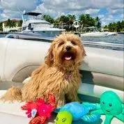 Spunky Pup - Clean Earth Recycled Plush Toys - 100% Sustainable: Small / Manatee