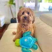 Spunky Pup - Clean Earth Recycled Plush Toys - 100% Sustainable: Small / Manatee
