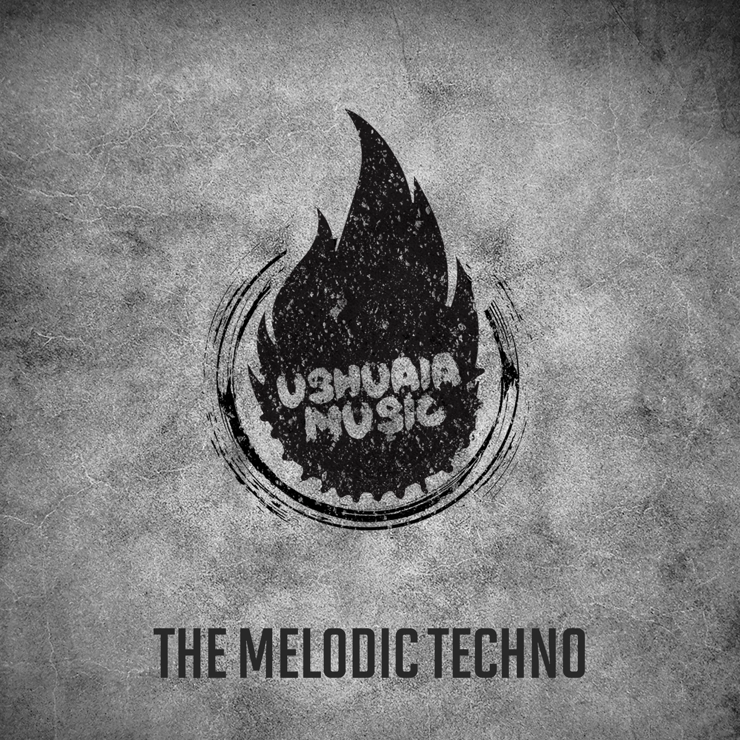 The Melodic </br> Techno