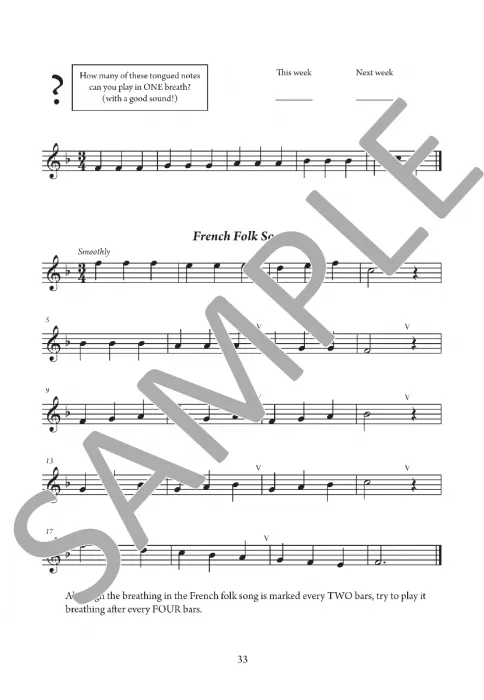 The Young Flute Player Book 1 by Karen North