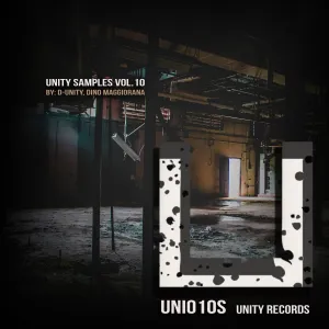 Unity Samples Vol.10 by D Unity, Dino Maggiorana