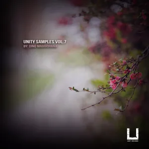 Unity Samples Vol.7 by Dino Maggiorana