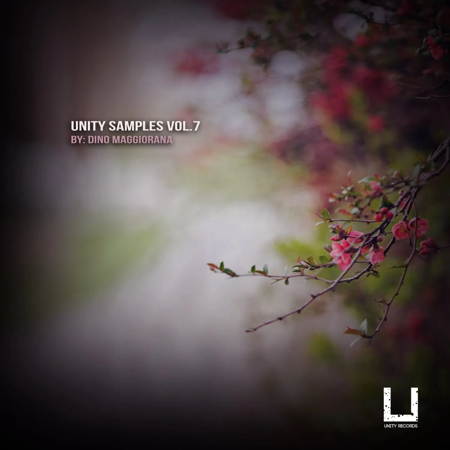 Unity Samples Vol.7 by Dino Maggiorana