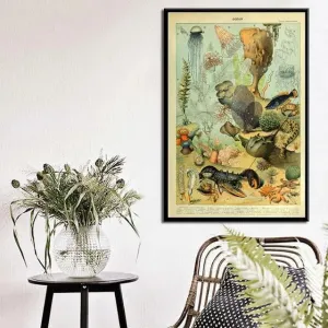 Vintage Exotic Ocean Lives Chart Wall Poster Print