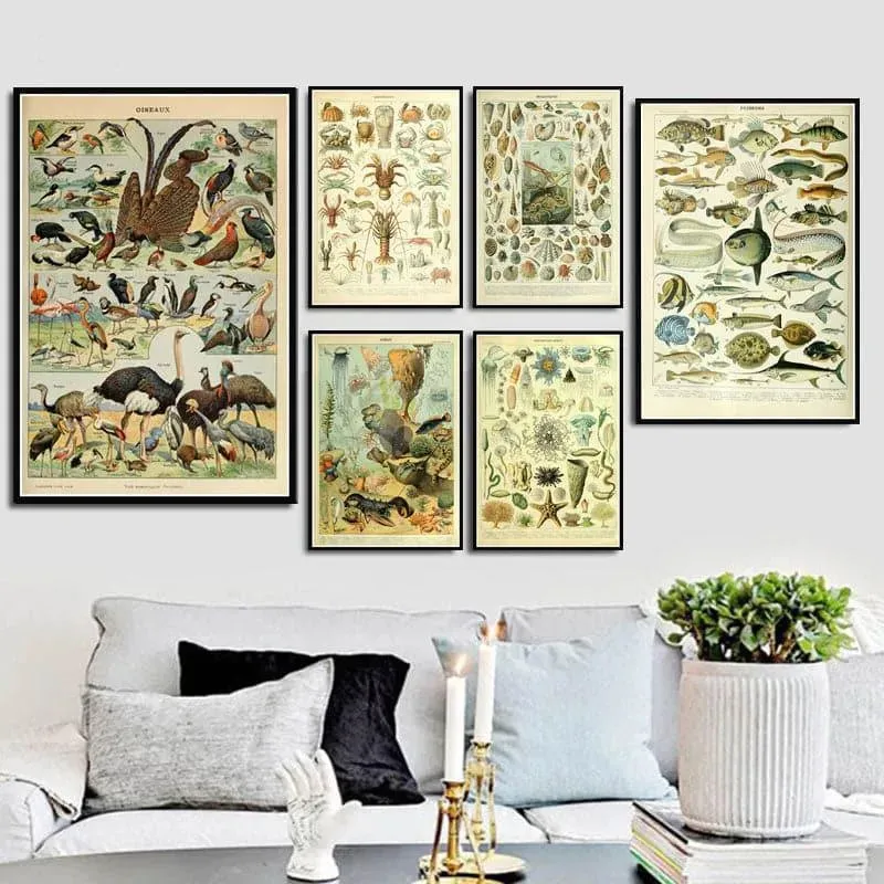 Vintage Exotic Ocean Lives Chart Wall Poster Print